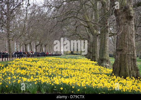 Une scène de printemps à Regents Park Londres Banque D'Images