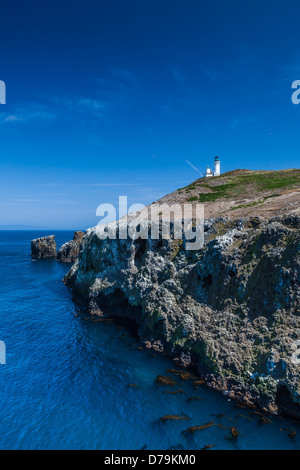 Les tournières et Anacapa Island Lighthouse, sur East Anacapa Island, Channel Islands National Park, USA, Callifornia Banque D'Images