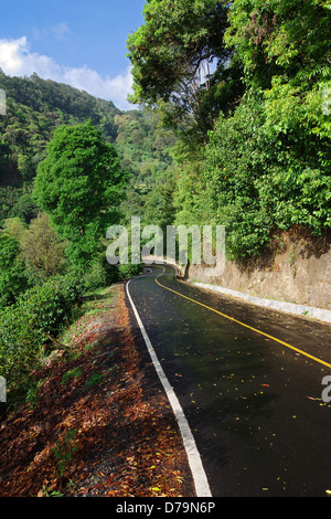 Image d'une route après la pluie à Boquete, une ville de l'ouest du Panama. Banque D'Images