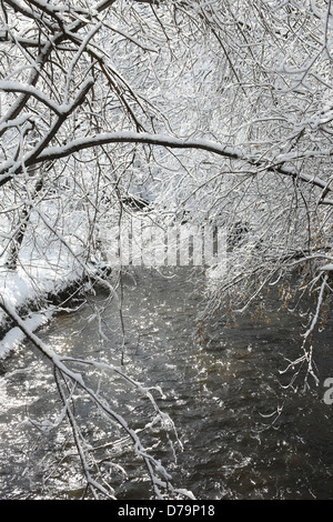 Un ruisseau en hiver dans la région de Minneapolis, Minnesota. Banque D'Images