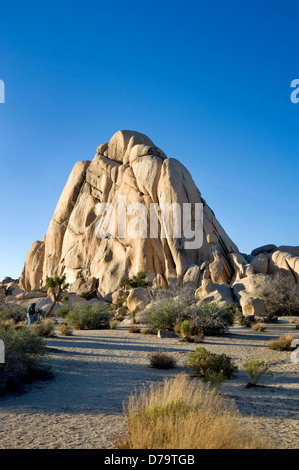 Joshua Tree National Monument situé en Californie Banque D'Images