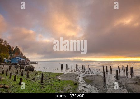 Vashon Island, Washington : l'effacement de brouillard sur le port de tramp Banque D'Images