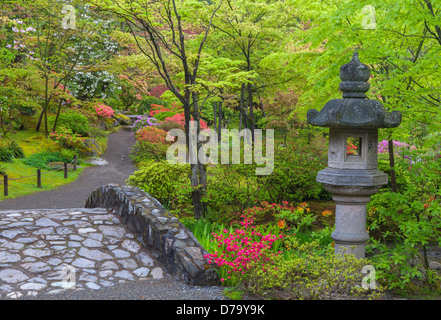 Seattle, WA : pont de pierre et de la lanterne avec les couleurs du printemps dans le Parc Washington jardin japonais de l'Arboretum Banque D'Images