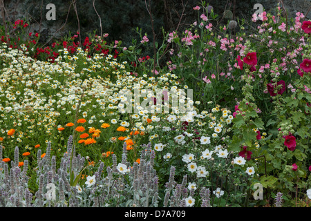 Un jardin anglais Banque D'Images