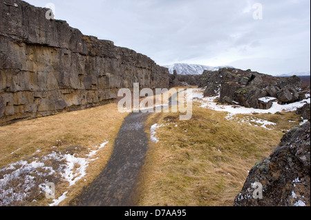 Chemin à travers la vallée de Pingvellir en Islande. La vallée se trouve entre le nord-américain et la Mi'plaques tectoniques. Banque D'Images