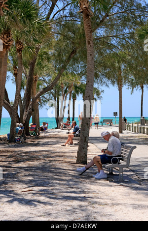 Les personnes âgées profitant de la scène de plage assis à l'ombre sous les arbres en Coquina beach Bradenton FL Banque D'Images