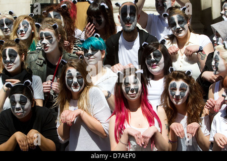 Un flashmob d'environ 50 personnes vêtues comme les blaireaux dansé sur la chanson de Brian May à l'extérieur de la DEFRA bureaux à Smith Square, London Banque D'Images