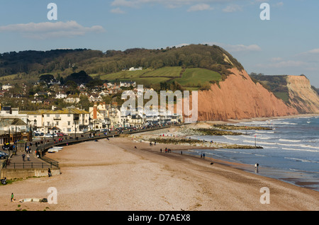 Une vue le long du front de Sidmouth montrant la plage et de la promenade sur une journée ensoleillée. Banque D'Images