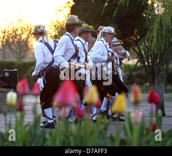 Peterborough, Royaume-Uni. 1er mai 2013. Le Peterborough Morris groupe exécutant la danse de l'aube sur le quai à Peterborough, Cambridgeshire. Ceci est fait pour le premier mai à accueillir le soleil avant l'été de la danse Morris est une forme de English Folk Dance avec les danseurs portant des électrodes sur leurs tibias bell et utilisent souvent des mouchoirs et des bâtons dans leurs routines. Pic : Paul Marriott Photography/Alamy Live News Banque D'Images