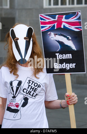 Un flashmob d'environ 50 personnes vêtues comme les blaireaux dansé sur la chanson de Brian May à l'extérieur de la DEFRA bureaux à Smith Square, London Banque D'Images