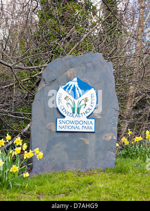 Limite du parc national de Snowdonia un marqueur sur un rocher en ardoise avec une bordure de jonquilles près de la route. Banque D'Images