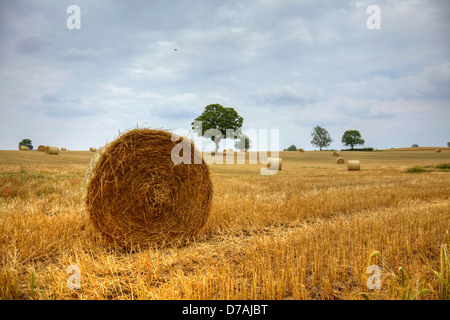 Bottes de foin dans une ferme a déposé au moment de la récolte. Banque D'Images