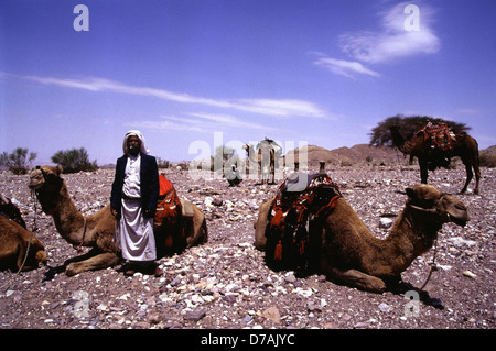 Nomades bédouins membre de la tribu Zawaideh, originaire de les déserts du sud de la Jordanie et de l'ouest de l'Arabie saoudite avec ses chameaux dans le désert de Wadi Rum connu aussi sous le nom de la vallée de la lune, dans le sud de la Jordanie Banque D'Images
