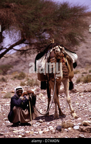 Nomades bédouins membre de la tribu Zawaideh, originaire de les déserts du sud de la Jordanie et de l'ouest de l'Arabie saoudite avec son chameau dans le désert de Wadi Rum connu aussi sous le nom de la vallée de la lune, dans le sud de la Jordanie Banque D'Images