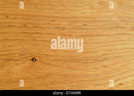 Close up montrant en détail du grain du bois de chêne de couleur d'or Banque D'Images