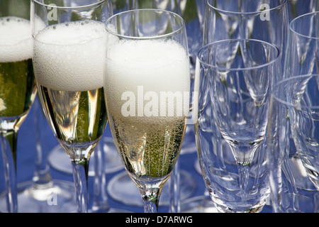 Verre de champagne Banque D'Images