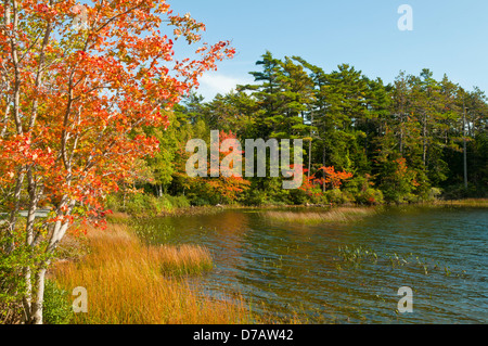 Eagle Lake, Acadia NP, Maine, États-Unis Banque D'Images