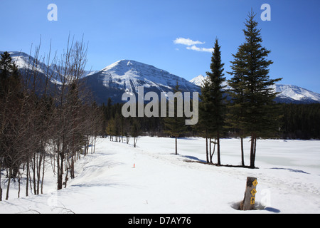 Ciel bleu, blanc neige à Burstall Pass zone dans la région de Kananaskis, Alberta Banque D'Images