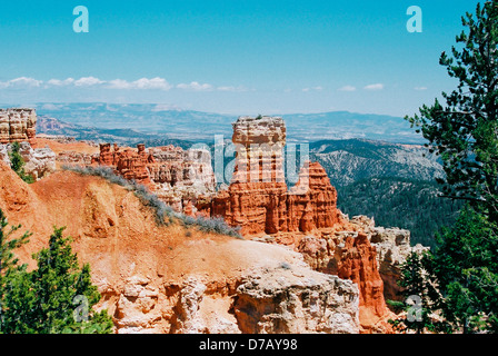 Point de Ponderosa, Bryce Canyon, Utah, USA Banque D'Images