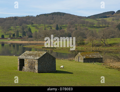 Grange et hangar à bateaux sur la rive du lac d''Esthwaite Water, Parc National de Lake District, Cumbria, Angleterre, Royaume-Uni Banque D'Images