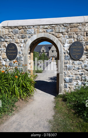 Cowbridge Physic Garden en fleurs Banque D'Images