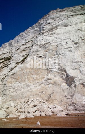 Un éboulement de la falaise de craie à Swyre entre tête Durdle Door et bat tête sur le Littoral du patrimoine des SW, Dorset, England, UK Banque D'Images