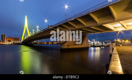 Erasmusbrug Pont Erasmus (Rotterdam) par nuit Banque D'Images