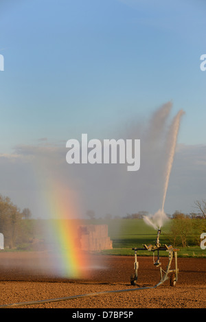 Le canon à eau dans les graines des arrosages en période de sécheresse sur le terrain dans l'orthographe hot summer South Milford yorkshire uk Banque D'Images