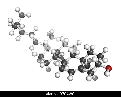 Le cholestérol, le modèle moléculaire. Banque D'Images