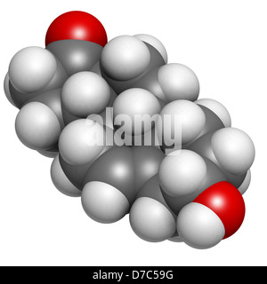 La déhydroépiandrostérone (DHEA, prasterone), molécule stéroïde de structure chimique. Les atomes sont représentés comme des sphères Banque D'Images