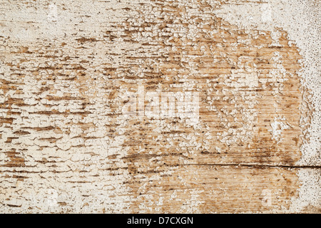 Grunge weathered barn bois peint en blanc - texture Banque D'Images