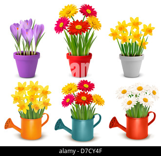 Collection de printemps et d'été dans des pots de fleurs colorées et d'arrosoir. Vector Banque D'Images