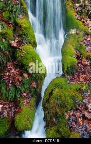 Petite cascade entre des roches couvertes de mousse Banque D'Images