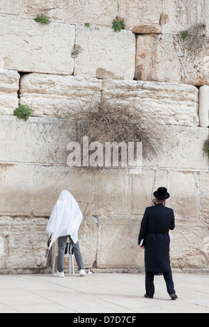 Jérusalem, Israël vers le 17 février 2013. Juifs en prière au Mur des lamentations, s'asseoir dans le temple de Jérusalem, Israël Banque D'Images