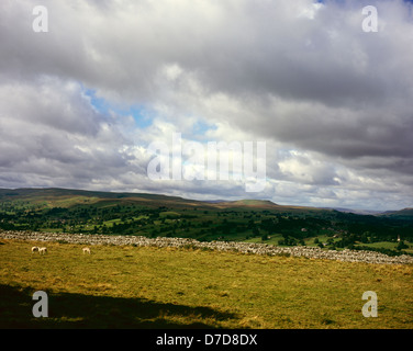 Vue sur Wensleydale sur les pentes de l'Ouest au-dessus de la balise Penhill Burton Wensleydale Yorkshire Dales England Banque D'Images