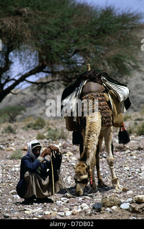 Nomades bédouins membre de la tribu Zawaideh, originaire de les déserts du sud de la Jordanie et de l'ouest de l'Arabie saoudite avec son chameau dans le désert de Wadi Rum connu aussi sous le nom de la vallée de la lune, dans le sud de la Jordanie Banque D'Images
