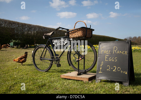 Poulets vivants, poules et oeufs de plein air à vendre signer sur la vieille remorque de vente de vélo  Roadside à Pickering, North Yorkshire, Royaume-Uni Banque D'Images