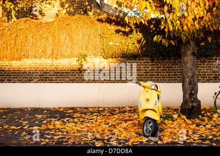 Scooter jaune soleil en automne Banque D'Images