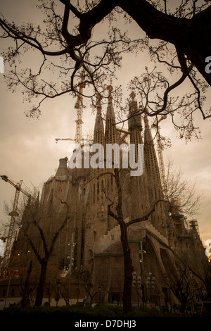 La cathédrale de la Sagrada Familia - Barcelone, Espagne. Banque D'Images