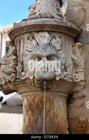 Fontaine du lion grave dans la vieille ville de Dubrovnik, Croatie Banque D'Images