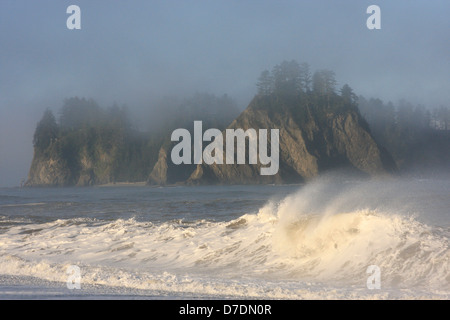 Des vagues à la plage Realto, Olimpic National Park, Washington, USA Banque D'Images