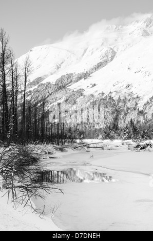 Réflexions de neige dans un lac partiellement gelé en Alaska Banque D'Images