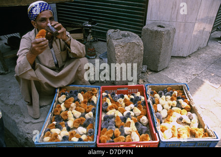 Un vendeur égyptien vendant des poussins dans le marché de la vieille ville Du Caire Égypte Banque D'Images