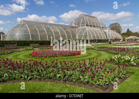 Angleterre Londres Kew gardens Palm House Banque D'Images