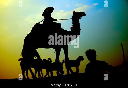 Camel et son chauffeur pendant le coucher du soleil à Rajasthan Banque D'Images