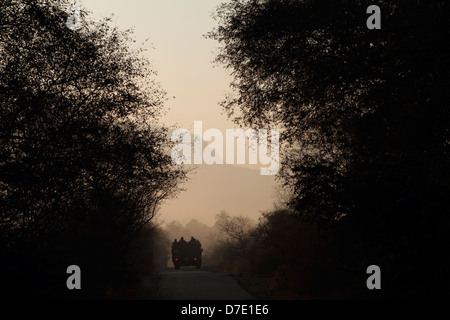 La Réserve de tigres de Ranthambhore, terre de Tiger Banque D'Images