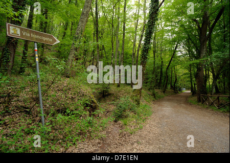 Italie, Latium, via Francigena près de Bolsena Banque D'Images