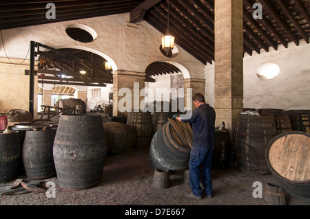Cave Gonzalez Byass -réparation de barils, Jerez de la Frontera, Cadiz Province, Région d'Andalousie, Espagne, Europe Banque D'Images