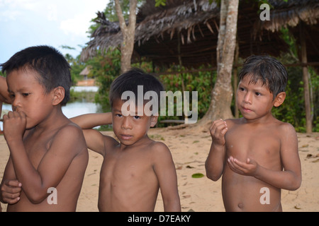 Trois garçons indigènes de la tribu Yagua dans leur village près d'Iquitos, en Amazonie péruvienne Banque D'Images