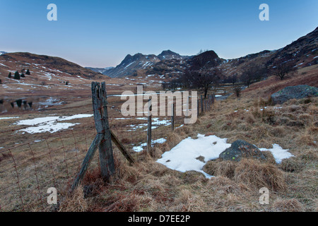 Blea Tarn barbelés avec une vue sur la The Langdales tôt le matin. Lake District, UK Banque D'Images